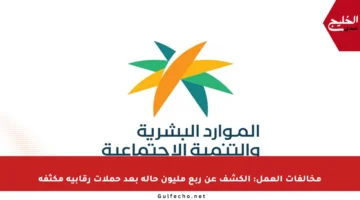 مخالفات العمل: الكشف عن ربع مليون حالة بعد حملات رقابية مكثفة